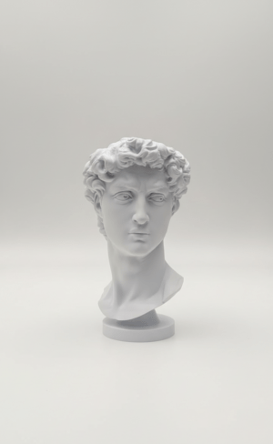 1 Интерьерный бюст «Давид»