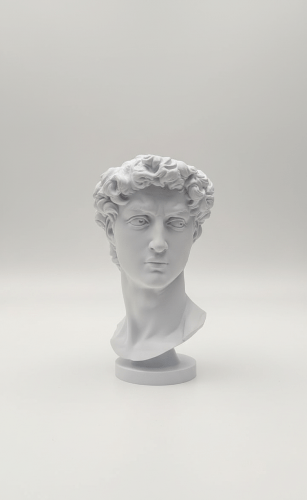 Интерьерный бюст «Давид»