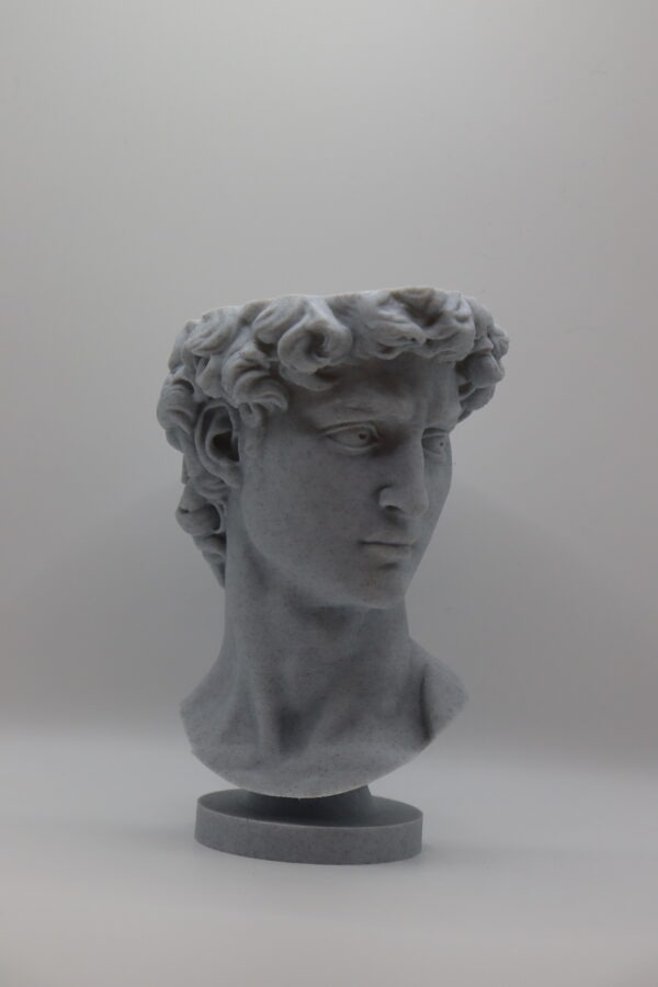 Интерьерный бюст «Давид»