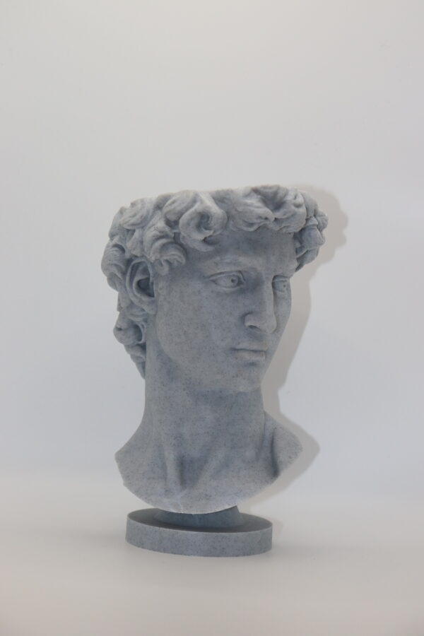 Интерьерный бюст «Давид»