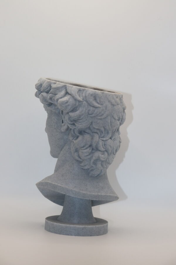 Интерьерный бюст «Давид»