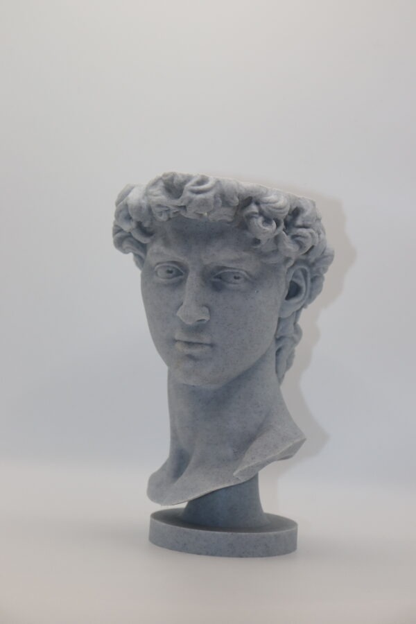 Интерьерный бюст «Давид»